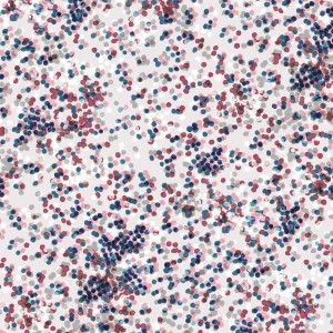 H38 | Dashwood Studios - Ace Cotton Lawn - Flourish Confetti - Day (1.7mtr end of bolt)